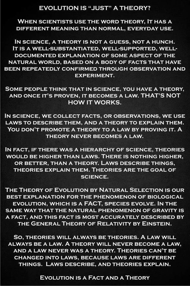 is evolution just a theory