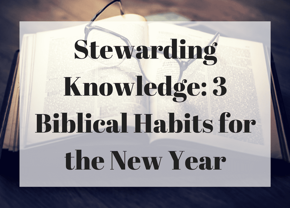 Stewarding Knowledge: 3 Biblical Habits for the New Year