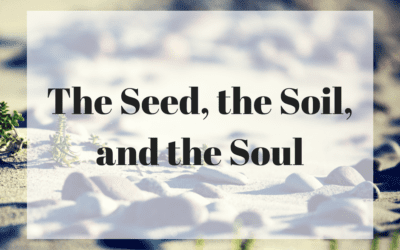 The Seed, the Soil, and the Soul