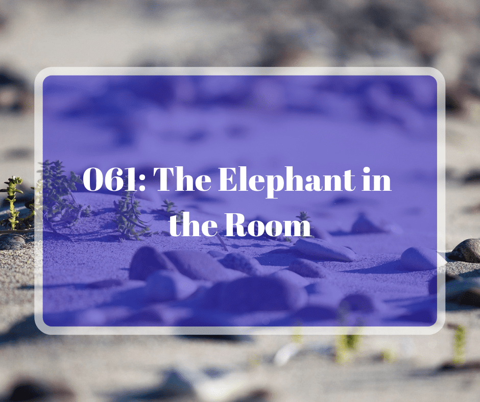 061: The Elephant in the Room