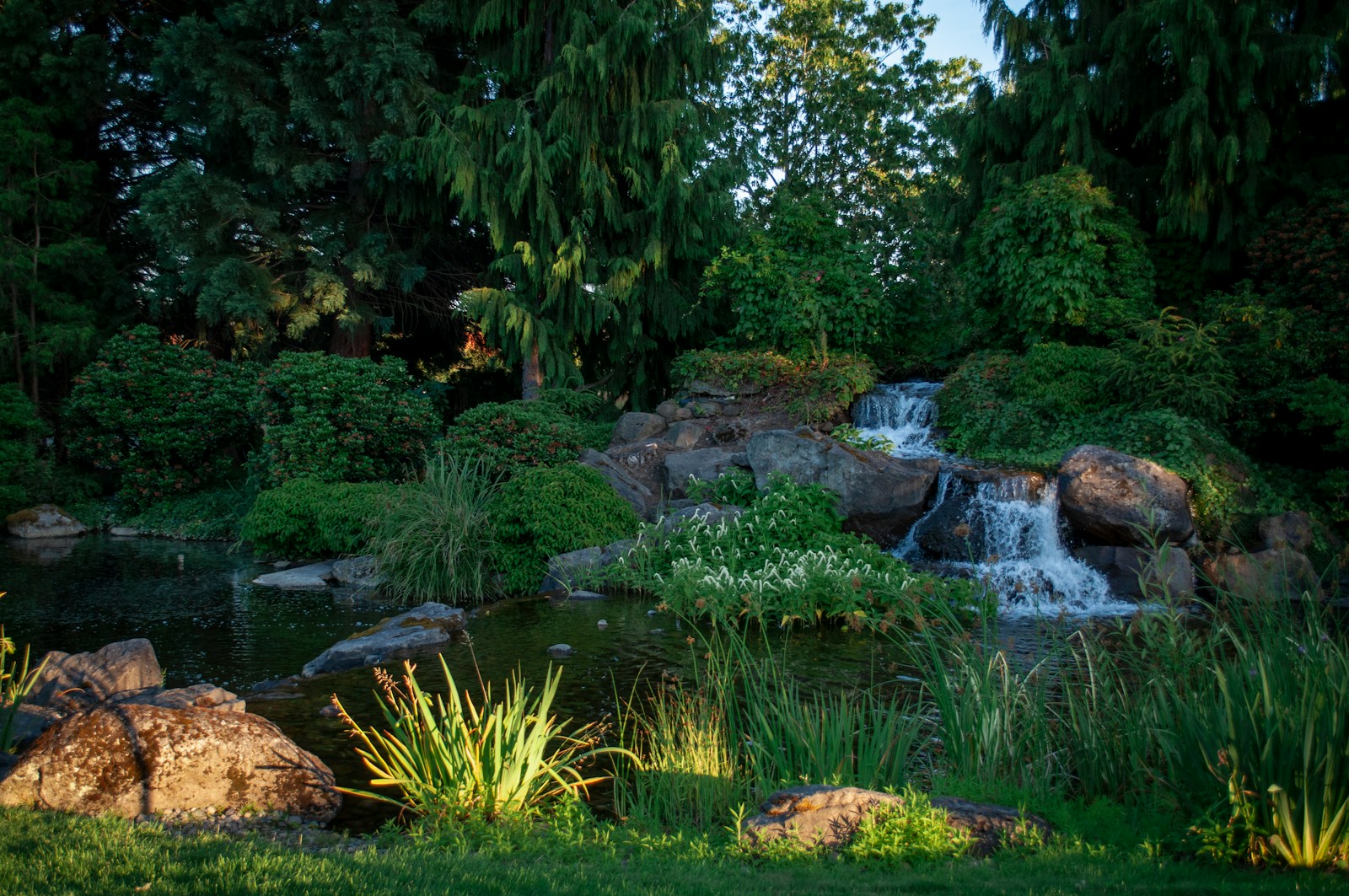 green grass and trees near river during daytime